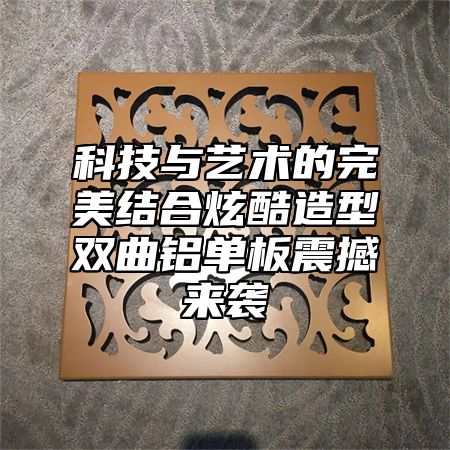 科技与艺术的完美结合炫酷造型双曲铝单板震撼来袭