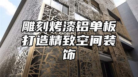 雕刻烤漆铝单板打造精致空间装饰