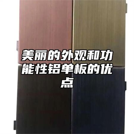 美丽的外观和功能性铝单板的优点