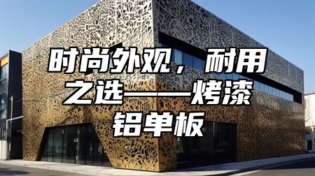 时尚外观，耐用之选——烤漆铝单板