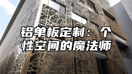 铝单板定制：个性空间的魔法师