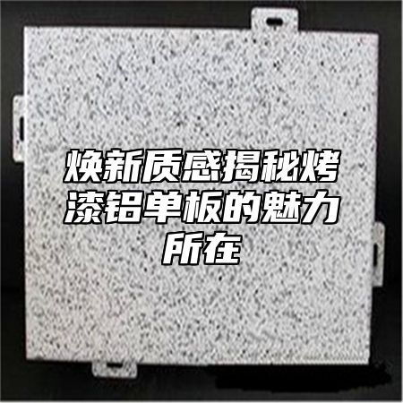 焕新质感揭秘烤漆铝单板的魅力所在