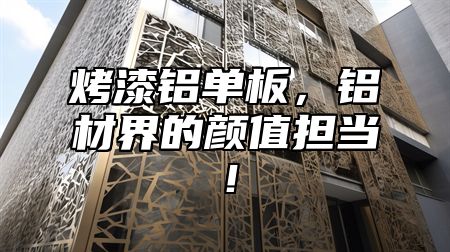 烤漆铝单板，铝材界的颜值担当！
