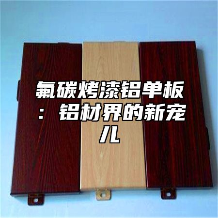 氟碳烤漆铝单板：铝材界的新宠儿