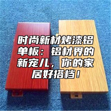 时尚新材烤漆铝单板：铝材界的新宠儿，你的家居好搭档！