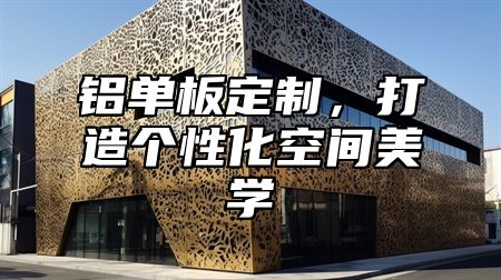 铝单板定制，打造个性化空间美学